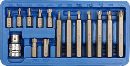 TRUSA 15 PIESE BITURI TORX CR-V