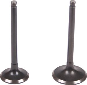 SET SUPAPE GY6 50